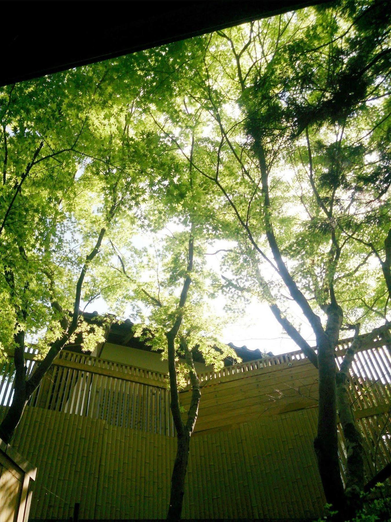 La Maison De David Yufu Ngoại thất bức ảnh